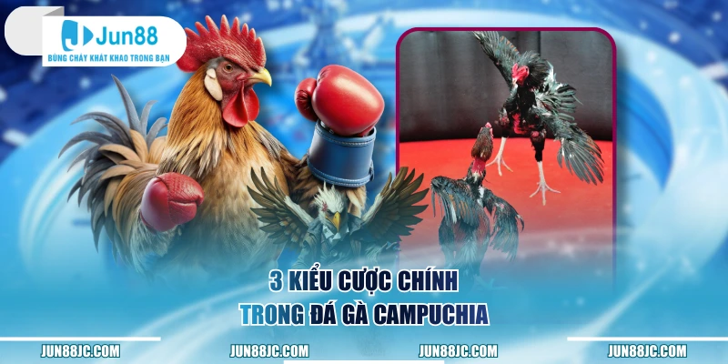 3 kiểu cược chính trong đá gà Campuchia