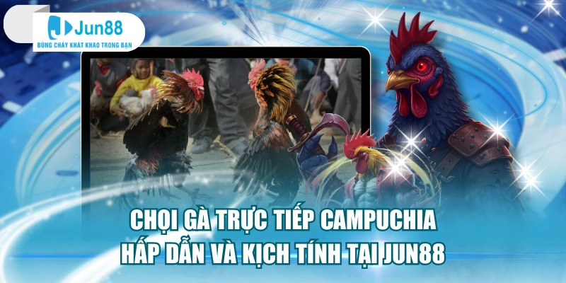 Chọi Gà Trực Tiếp Campuchia Hấp Dẫn Và Kịch Tính Tại Jun88