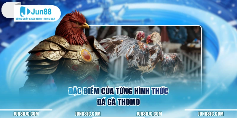 Đặc điểm của từng hình thức đá gà Thomo