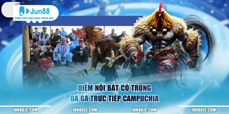 Điểm nổi bật có trong đá gà trực tiếp Campuchia