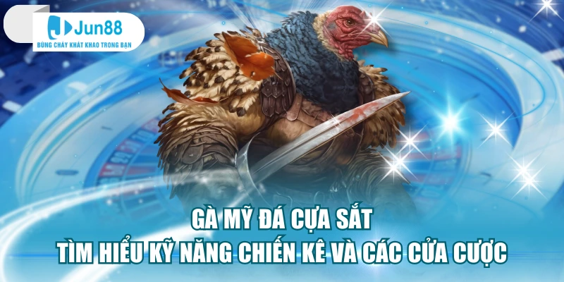 Gà Mỹ Đá Cựa Sắt - Tìm Hiểu Kỹ Năng Chiến Kê Và Các Cửa Cược