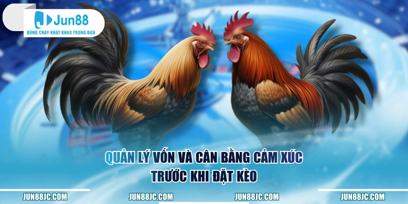 Quản lý vốn và cân bằng cảm xúc trước khi đặt kèo