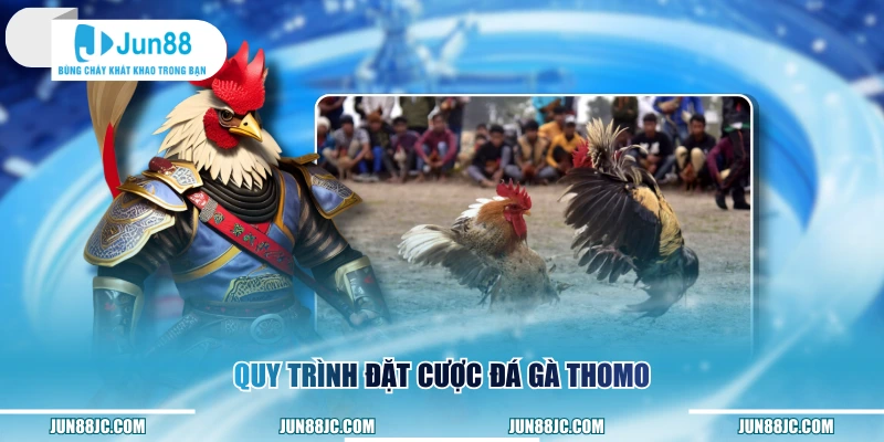 Quy trình đặt cược đá gà Thomo