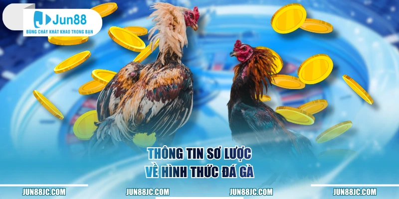 Thông tin sơ lược về hình thức đá gà